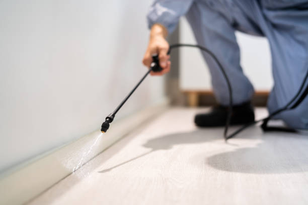 Licensed Pest Control service in Roanoke, TX - Show Me Pest Control