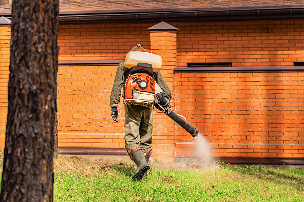 Bed Bug Clearance Verification and Documentation in Roanoke